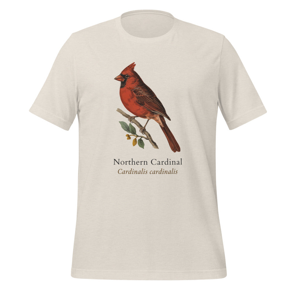 Northern Cardinal vintage field-guide tee — Heather Dust, front