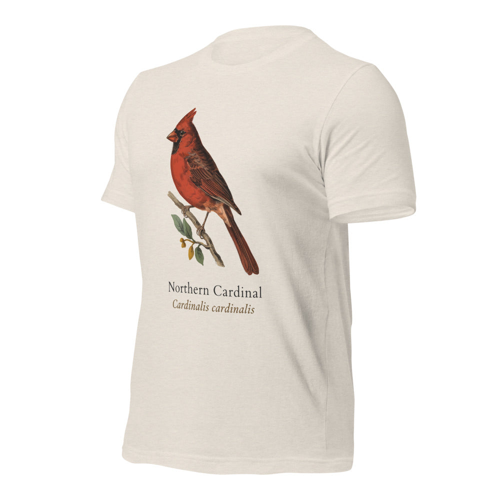 Northern Cardinal vintage field-guide tee — Heather Dust, front-right