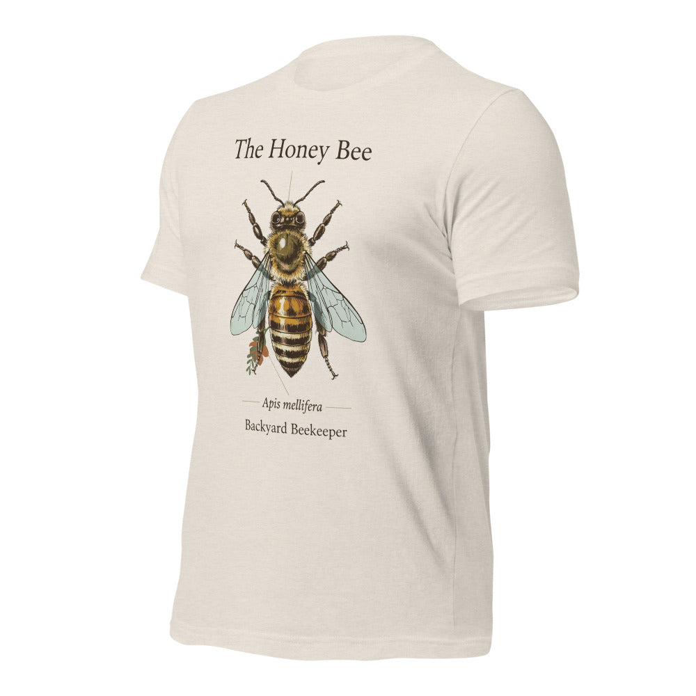 The Honey Bee Apis mellifera anatomical tee — Heather Dust, front-right