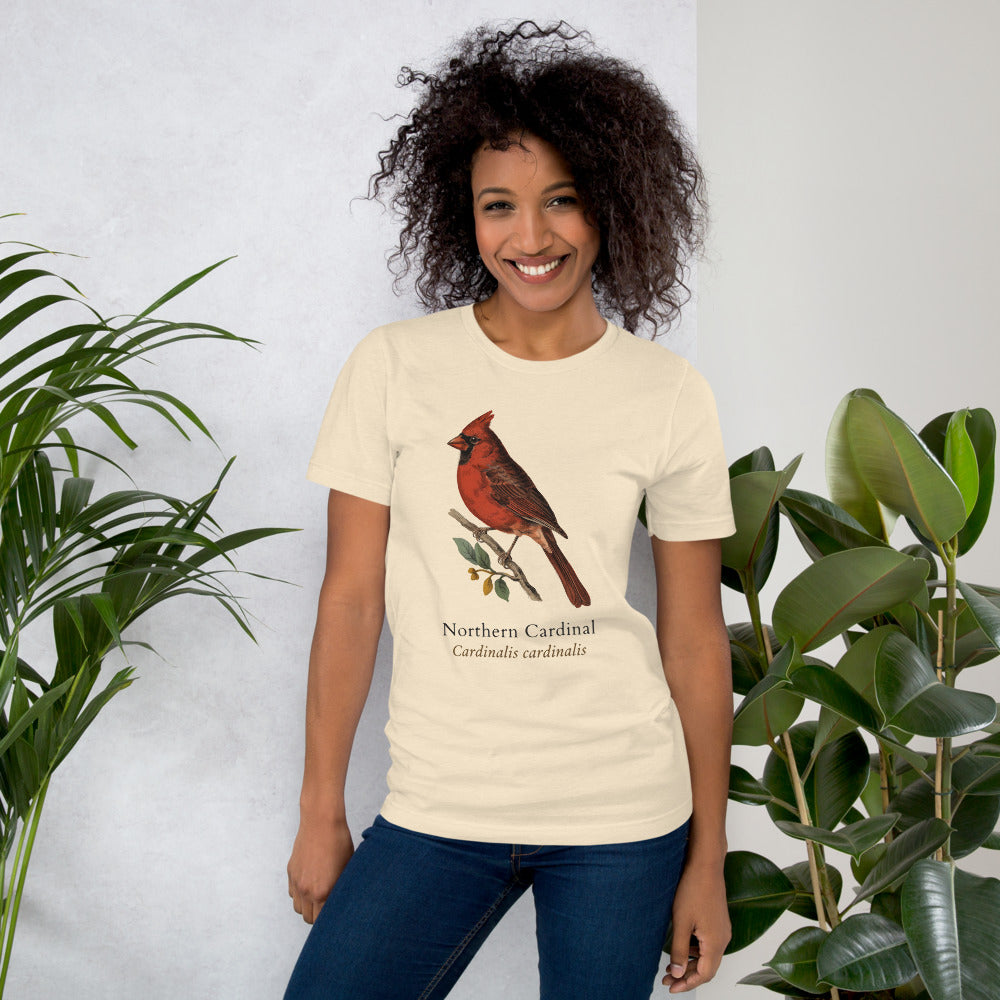 Northern Cardinal vintage field-guide tee — Heather Natural, on model