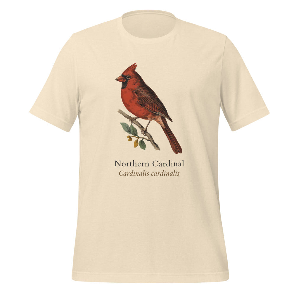 Northern Cardinal vintage field-guide tee — Heather Natural, front