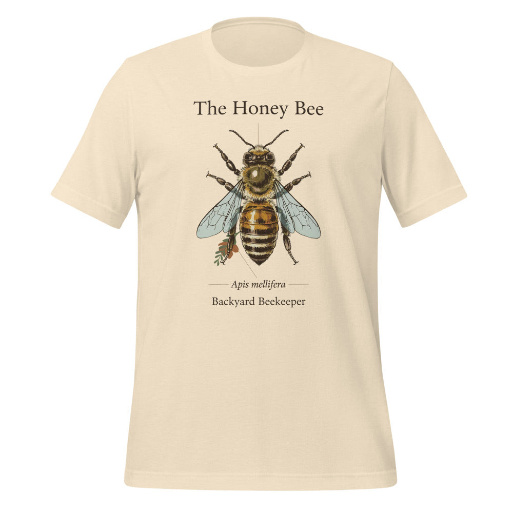 The Honey Bee Apis mellifera anatomical tee — Heather Natural, front