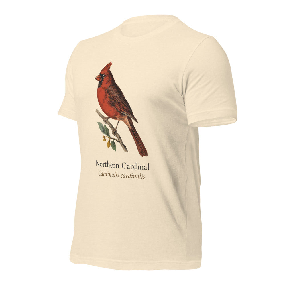 Northern Cardinal vintage field-guide tee — Heather Natural, front-right