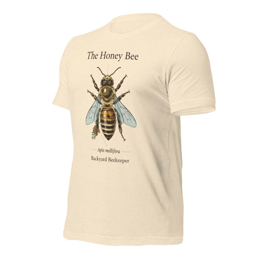 The Honey Bee Apis mellifera anatomical tee — Heather Natural, front-right
