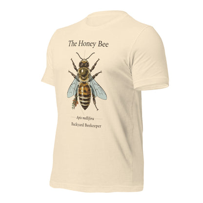 The Honey Bee Apis mellifera anatomical tee — Heather Natural, front-right
