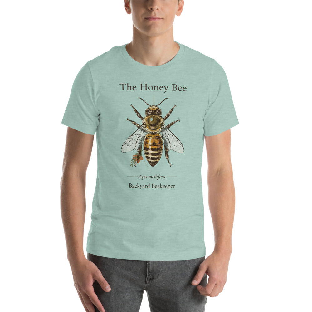 The Honey Bee Apis mellifera anatomical tee — Heather Prism Dusty Blue, on model