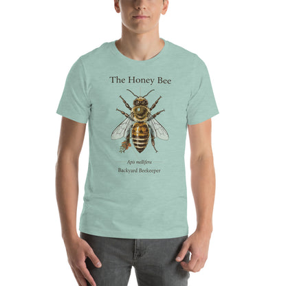 The Honey Bee Apis mellifera anatomical tee — Heather Prism Dusty Blue, on model