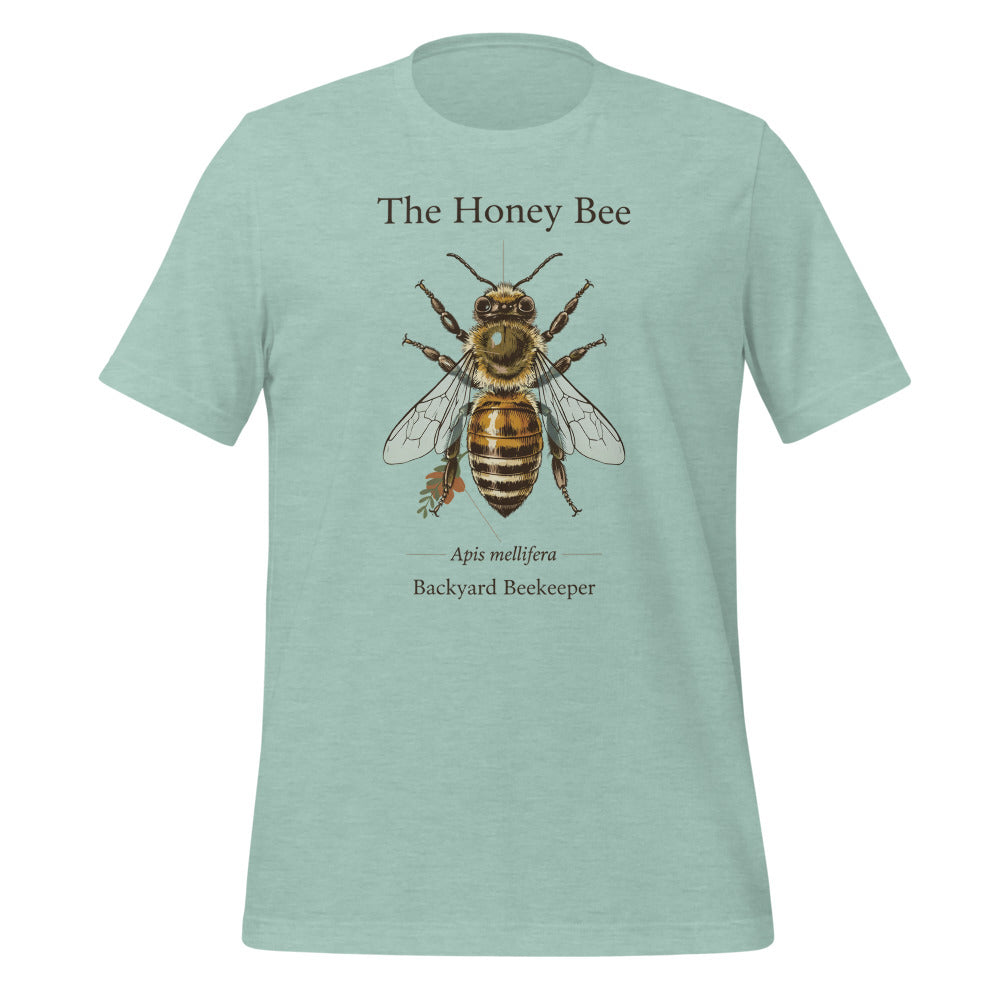 The Honey Bee Apis mellifera anatomical tee — Heather Prism Dusty Blue, front