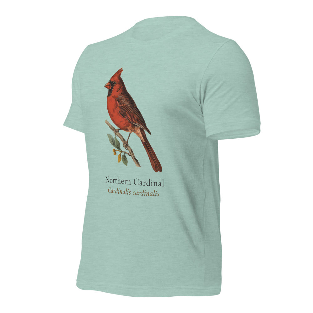 Northern Cardinal vintage field-guide tee — Heather Prism Dusty Blue, front-right