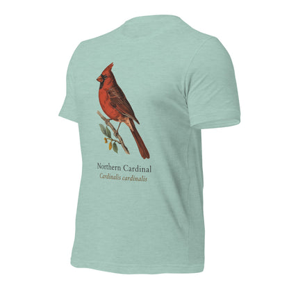 Northern Cardinal vintage field-guide tee — Heather Prism Dusty Blue, front-right