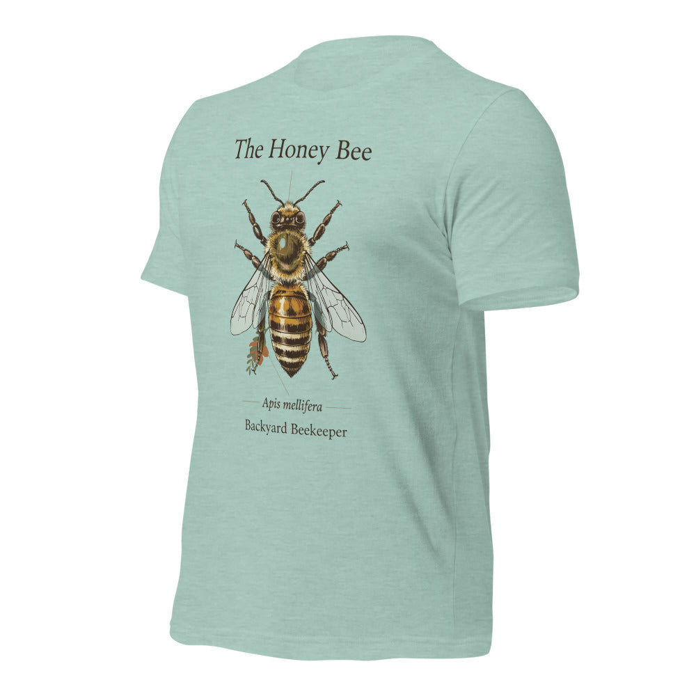 The Honey Bee Apis mellifera anatomical tee — Heather Prism Dusty Blue, front-right