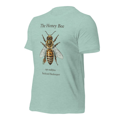 The Honey Bee Apis mellifera anatomical tee — Heather Prism Dusty Blue, front-right