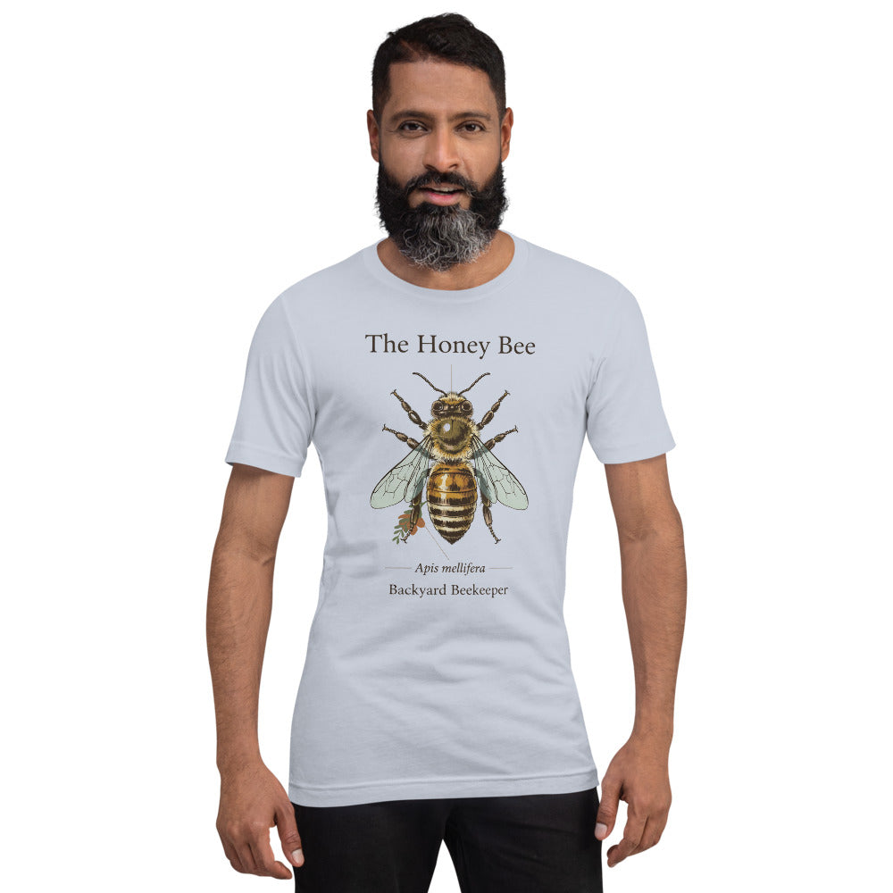 The Honey Bee Apis mellifera anatomical tee — Light Blue, on model
