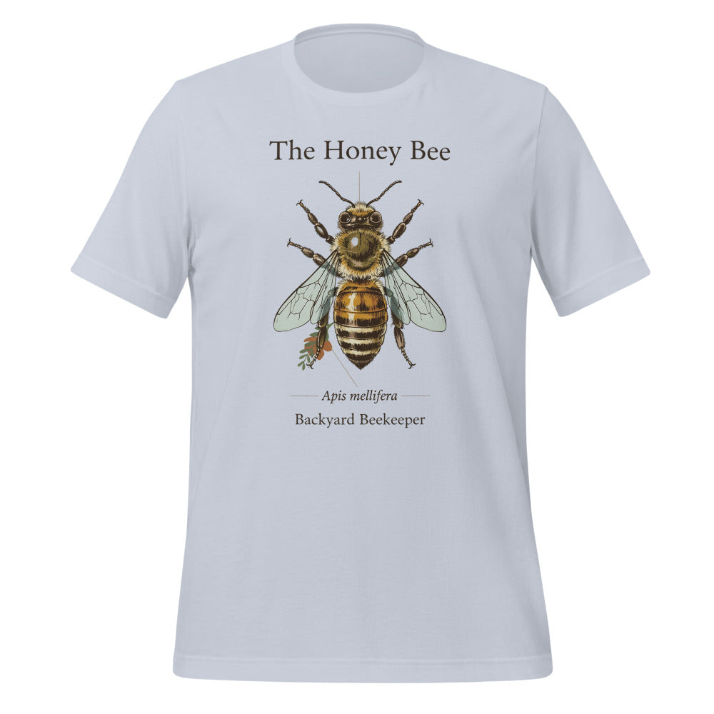 The Honey Bee Apis mellifera anatomical tee — Light Blue, front