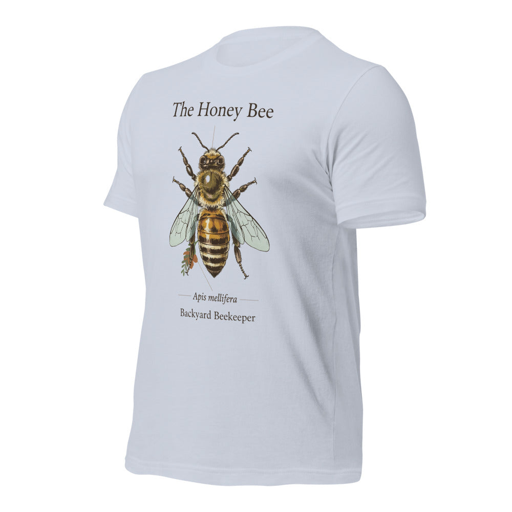 The Honey Bee Apis mellifera anatomical tee — Light Blue, front-right