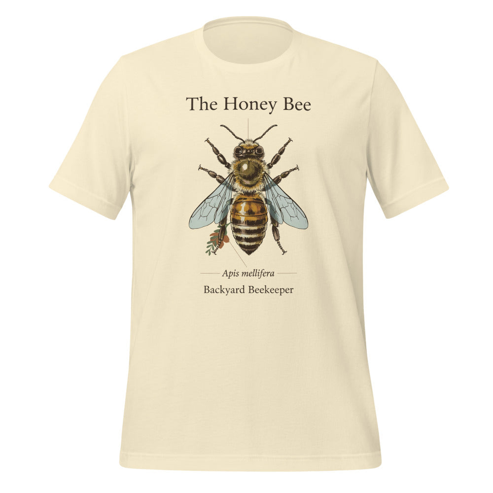 The Honey Bee Apis mellifera anatomical tee — Natural, front
