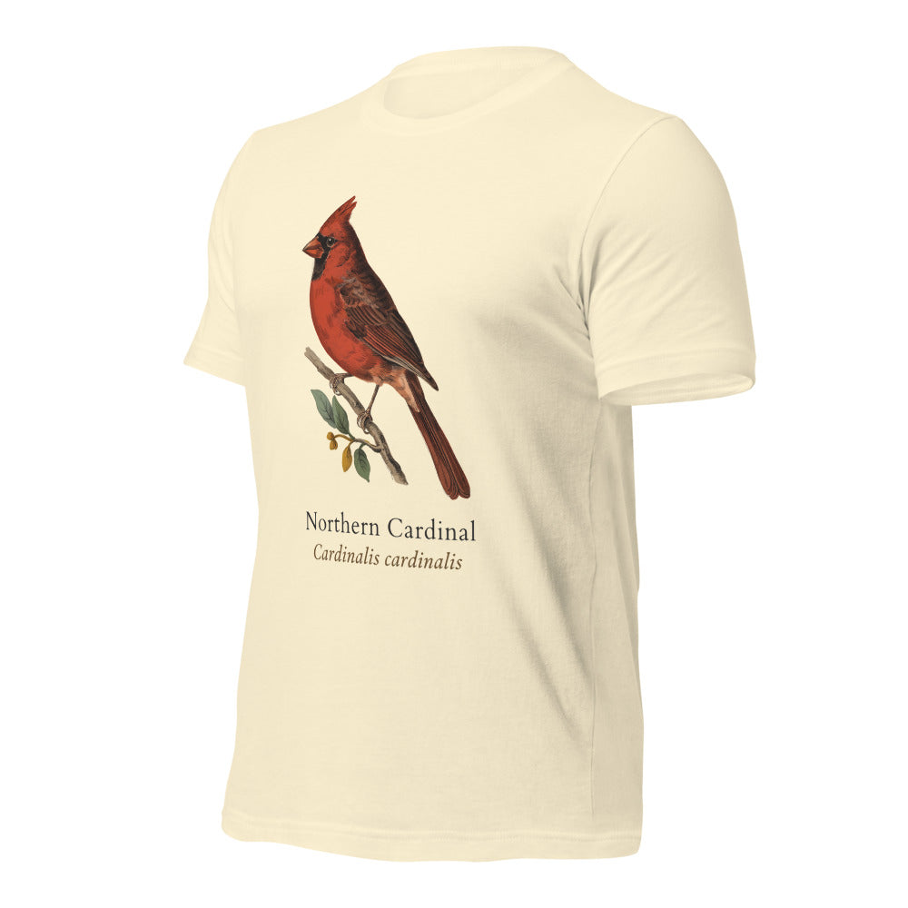 Northern Cardinal vintage field-guide tee — Natural, front-right