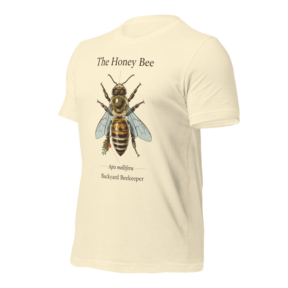 The Honey Bee Apis mellifera anatomical tee — Natural, front-right
