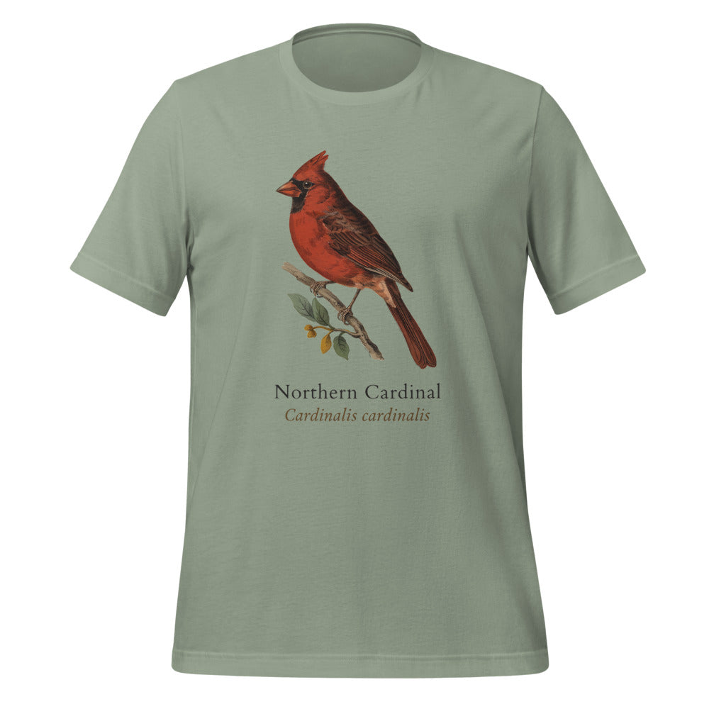 Northern Cardinal vintage field-guide tee — Sage, front