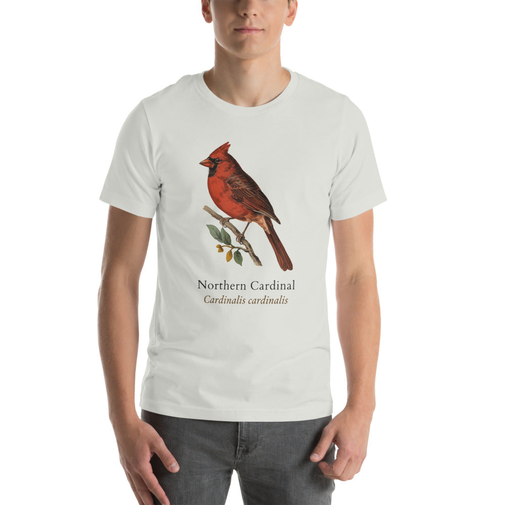 Northern Cardinal vintage field-guide tee — Silver, on model