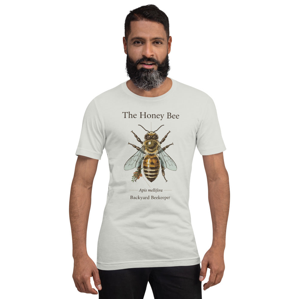 The Honey Bee Apis mellifera anatomical tee — Silver, on model