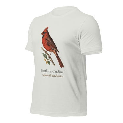 Northern Cardinal vintage field-guide tee — Silver, front-right