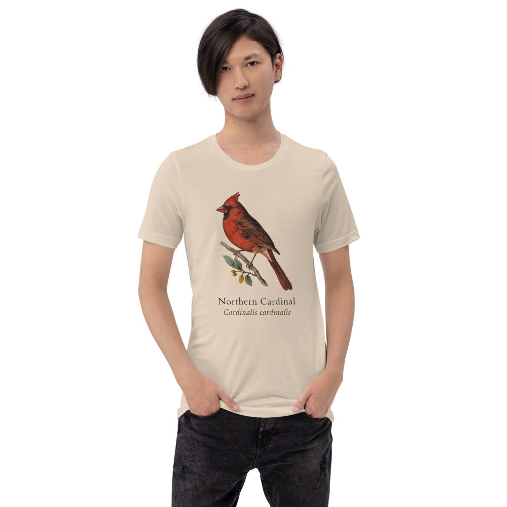 Northern Cardinal vintage field-guide tee — Soft Cream, on model