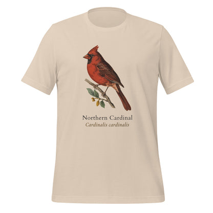 Northern Cardinal vintage field-guide tee — Soft Cream, front