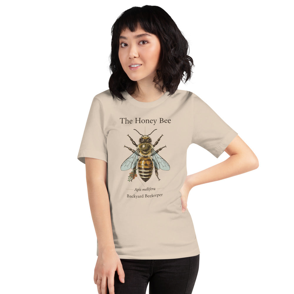 The Honey Bee Apis mellifera anatomical tee — Soft Cream, on model