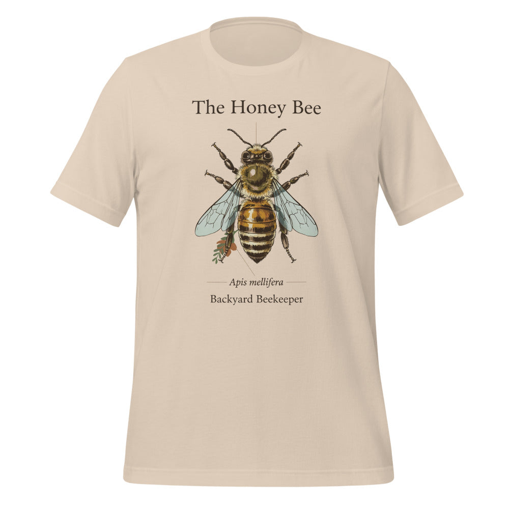 The Honey Bee Apis mellifera anatomical tee — Soft Cream, front