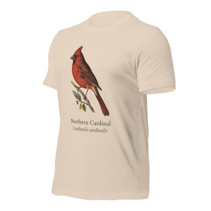 Northern Cardinal vintage field-guide tee — Soft Cream, front-right