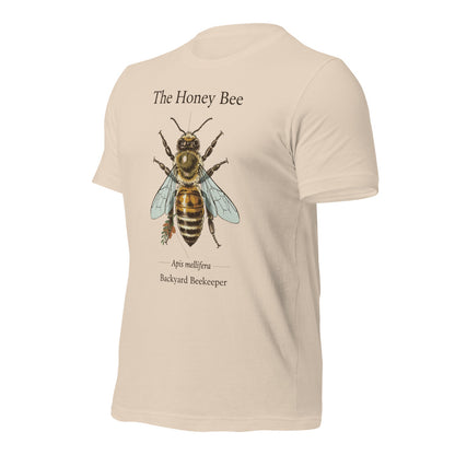 The Honey Bee Apis mellifera anatomical tee — Soft Cream, front-right
