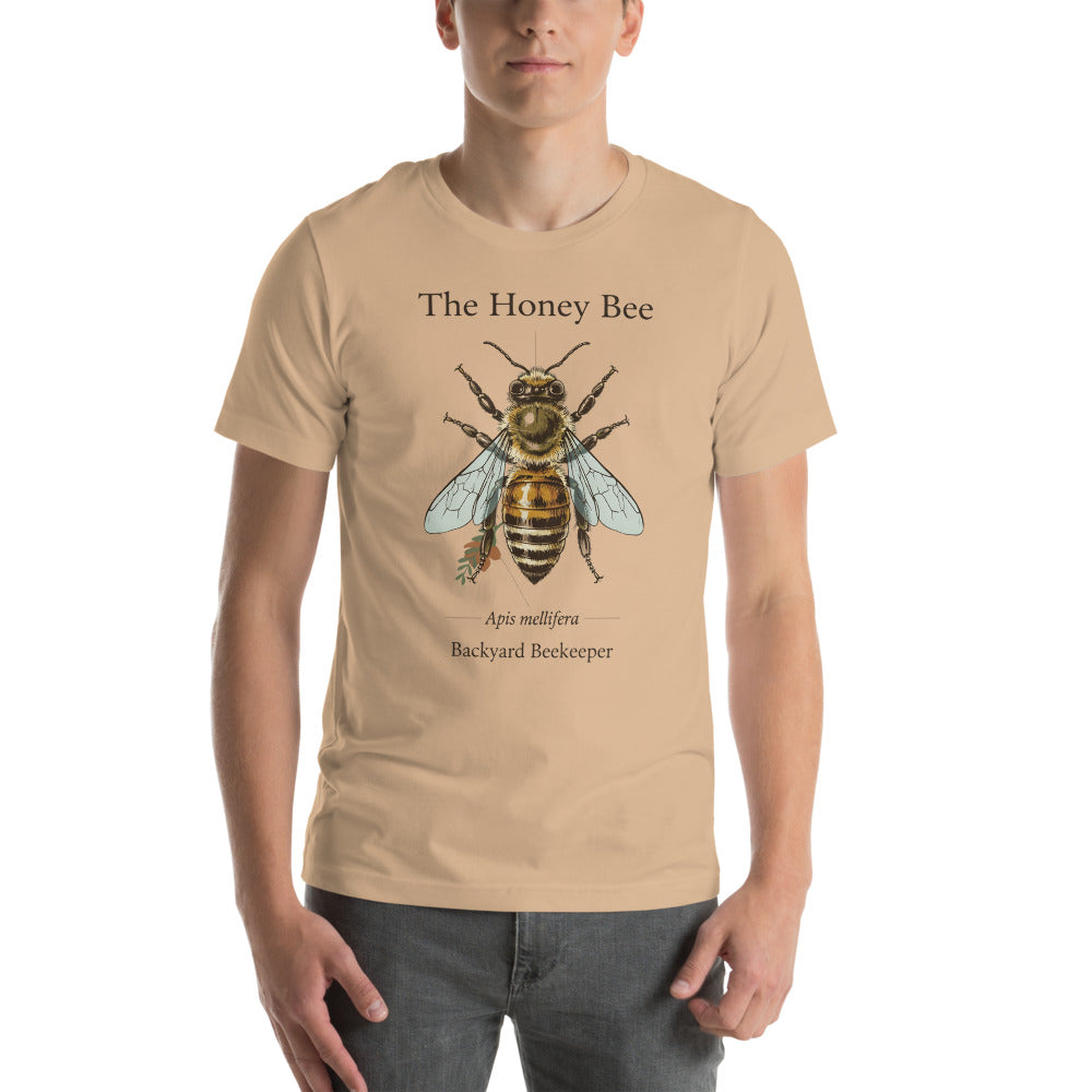 The Honey Bee Apis mellifera anatomical tee — Tan, on model
