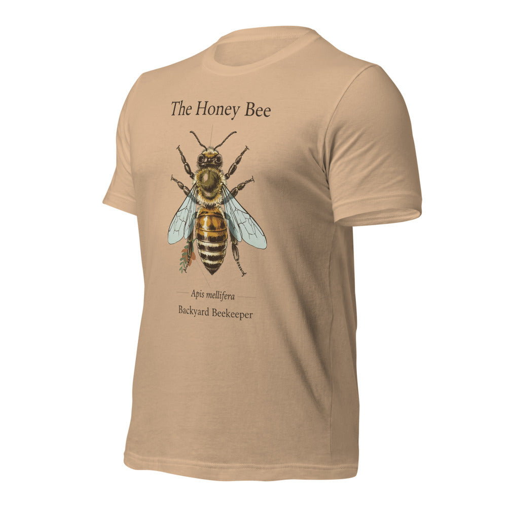 The Honey Bee Apis mellifera anatomical tee — Tan, front-right