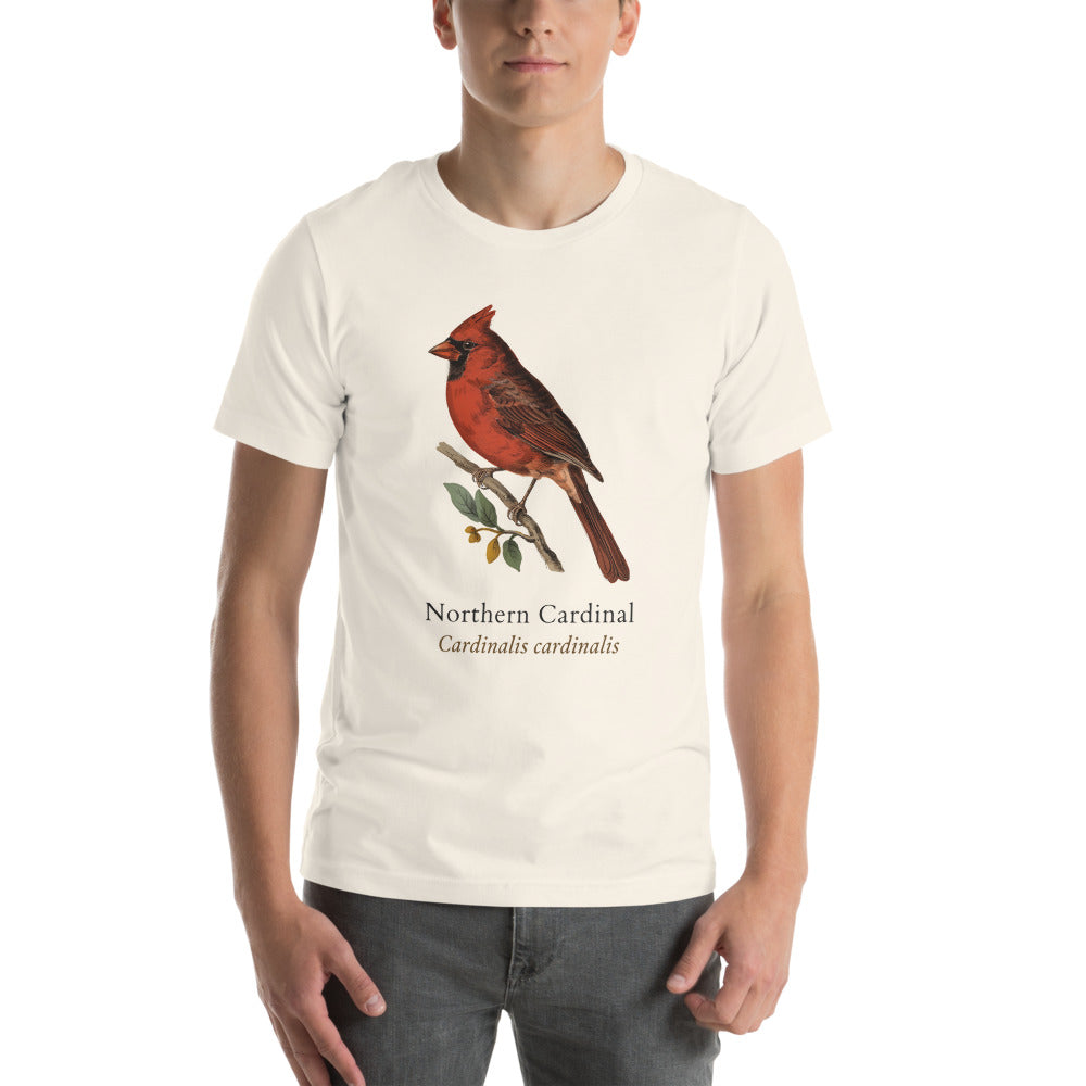 Northern Cardinal vintage field-guide tee — Vintage White, on model