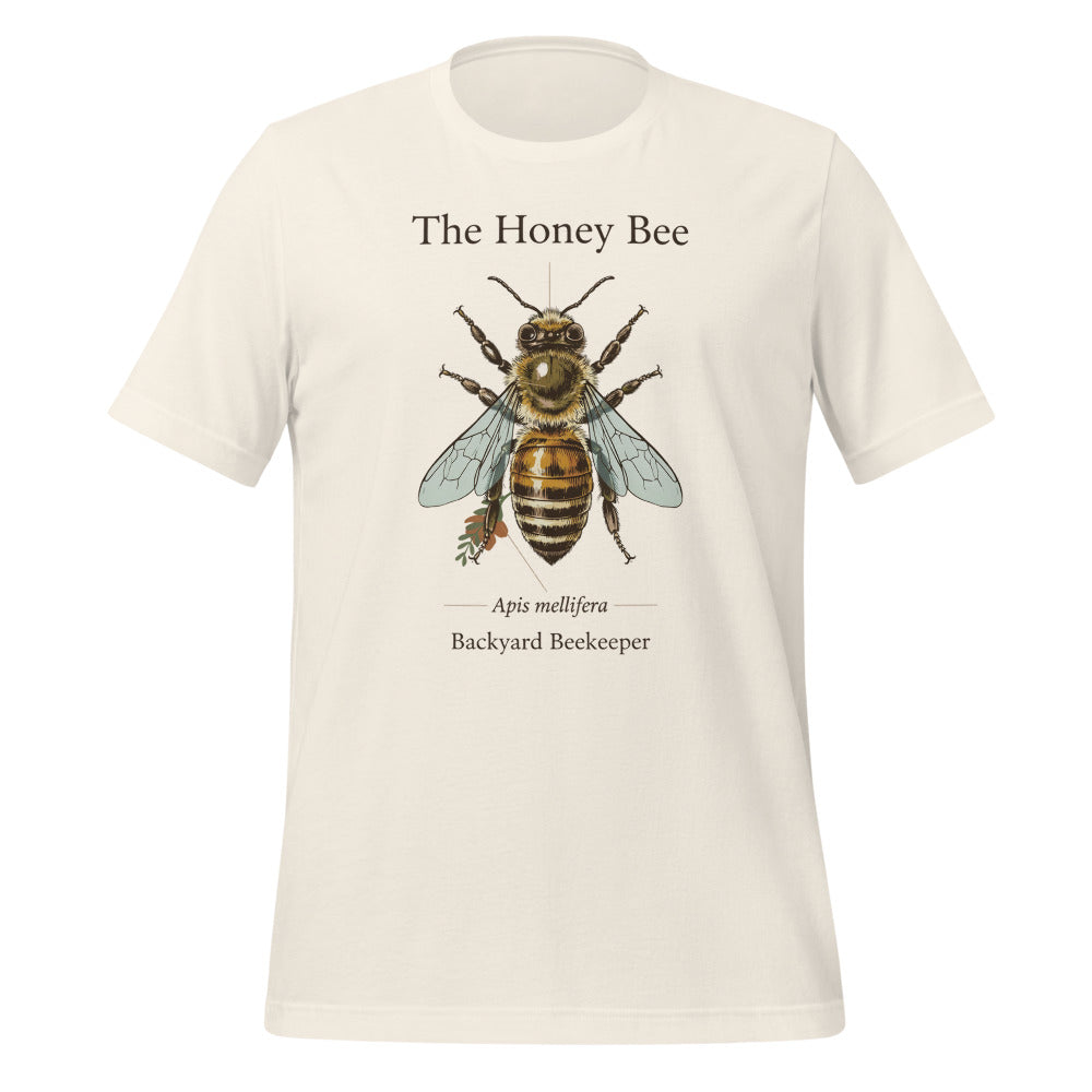 The Honey Bee Apis mellifera anatomical tee — Vintage White, front
