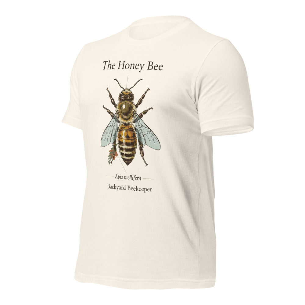 The Honey Bee Apis mellifera anatomical tee — Vintage White, front-right