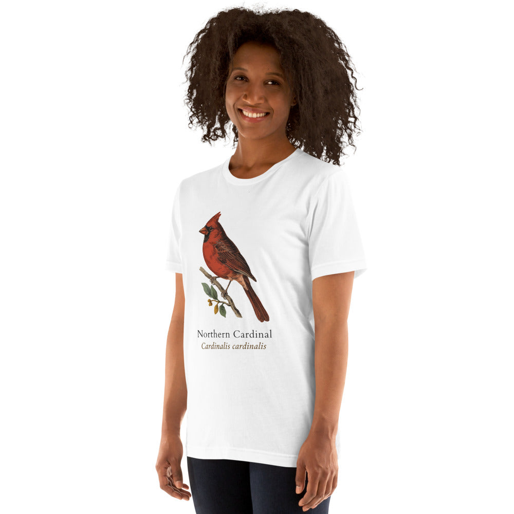 Northern Cardinal vintage field-guide tee — White, on model