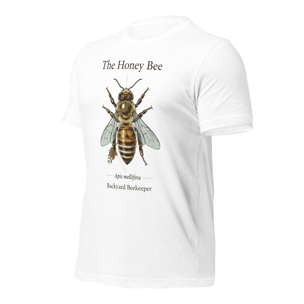 The Honey Bee Apis mellifera anatomical tee — White, front-right