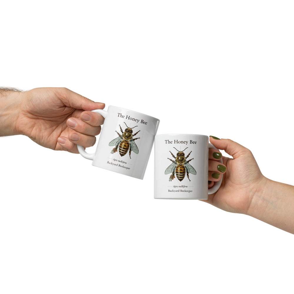 The Honey Bee — Anatomical Study print — 11 oz, front
