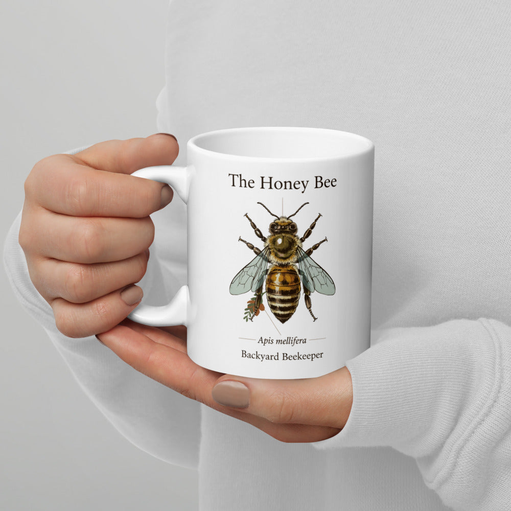The Honey Bee — Anatomical Study print — 11 oz