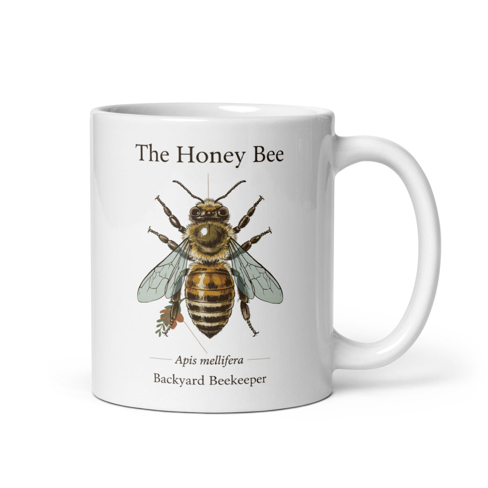 The Honey Bee — Anatomical Study print — 11 oz, handle on the right