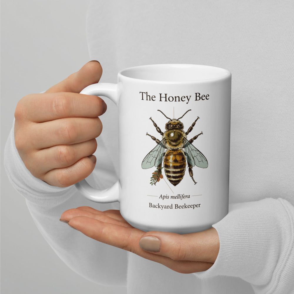 The Honey Bee — Anatomical Study print — 15 oz
