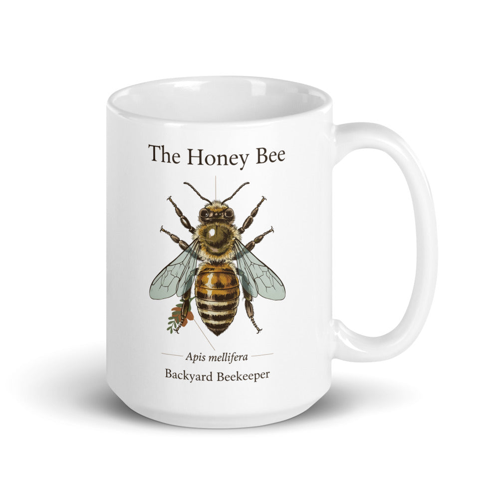 The Honey Bee — Anatomical Study print — 15 oz, handle on the right