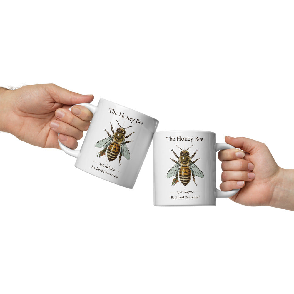 The Honey Bee — Anatomical Study print — 20 oz, front