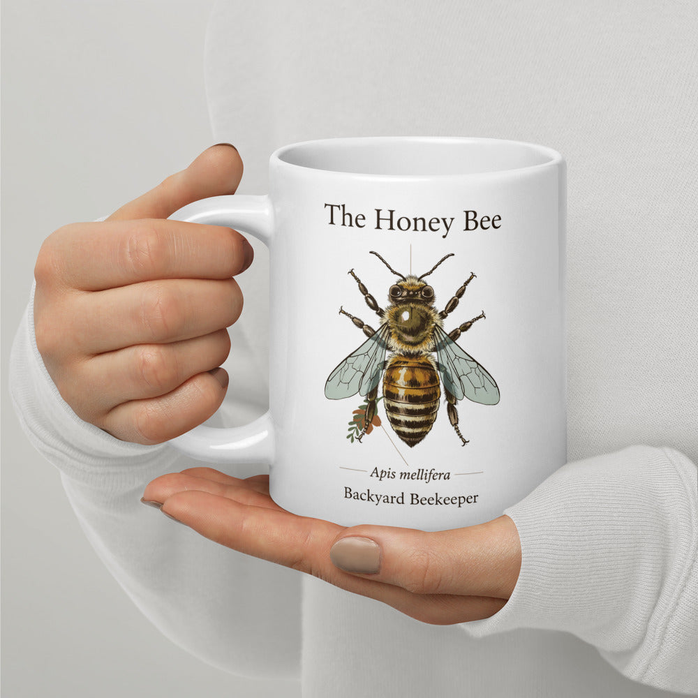 The Honey Bee — Anatomical Study print — 20 oz