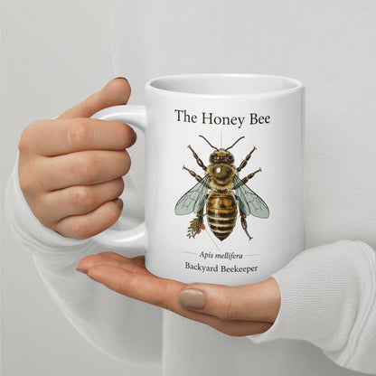 The Honey Bee — Anatomical Study print — 20 oz