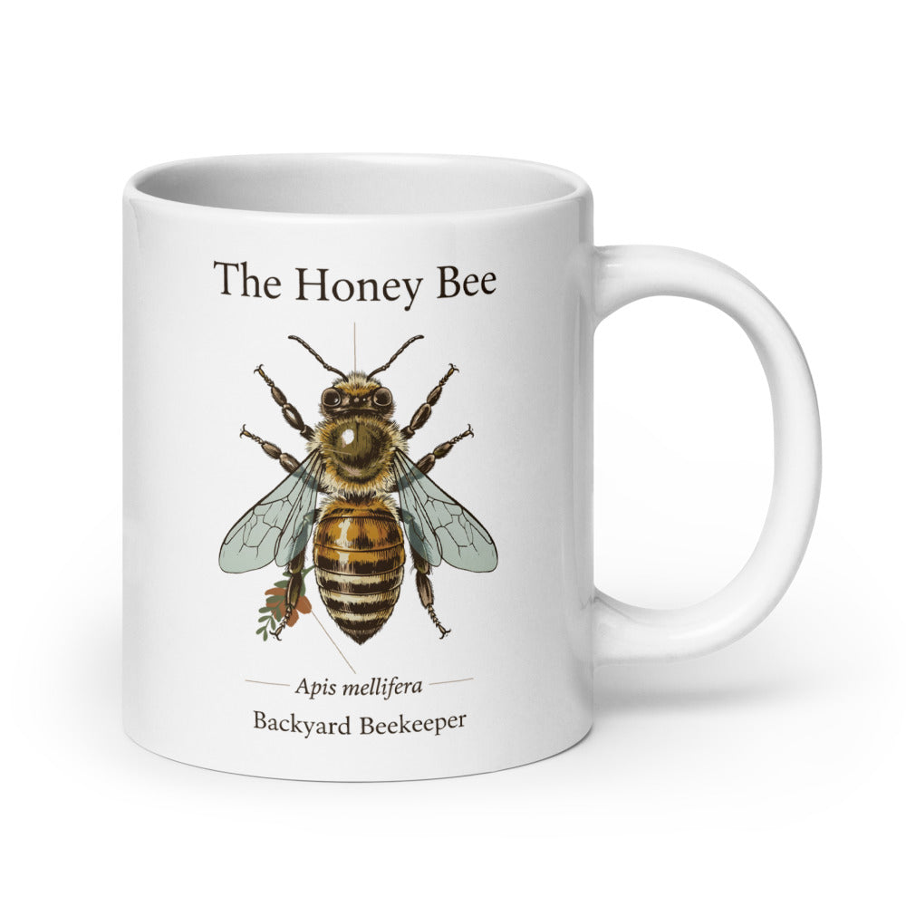 The Honey Bee — Anatomical Study print — 20 oz, handle on the right
