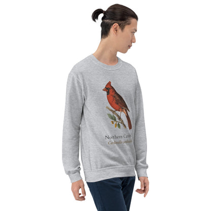 Northern Cardinal vintage field-guide crewneck sweatshirt — Sport Grey, on model