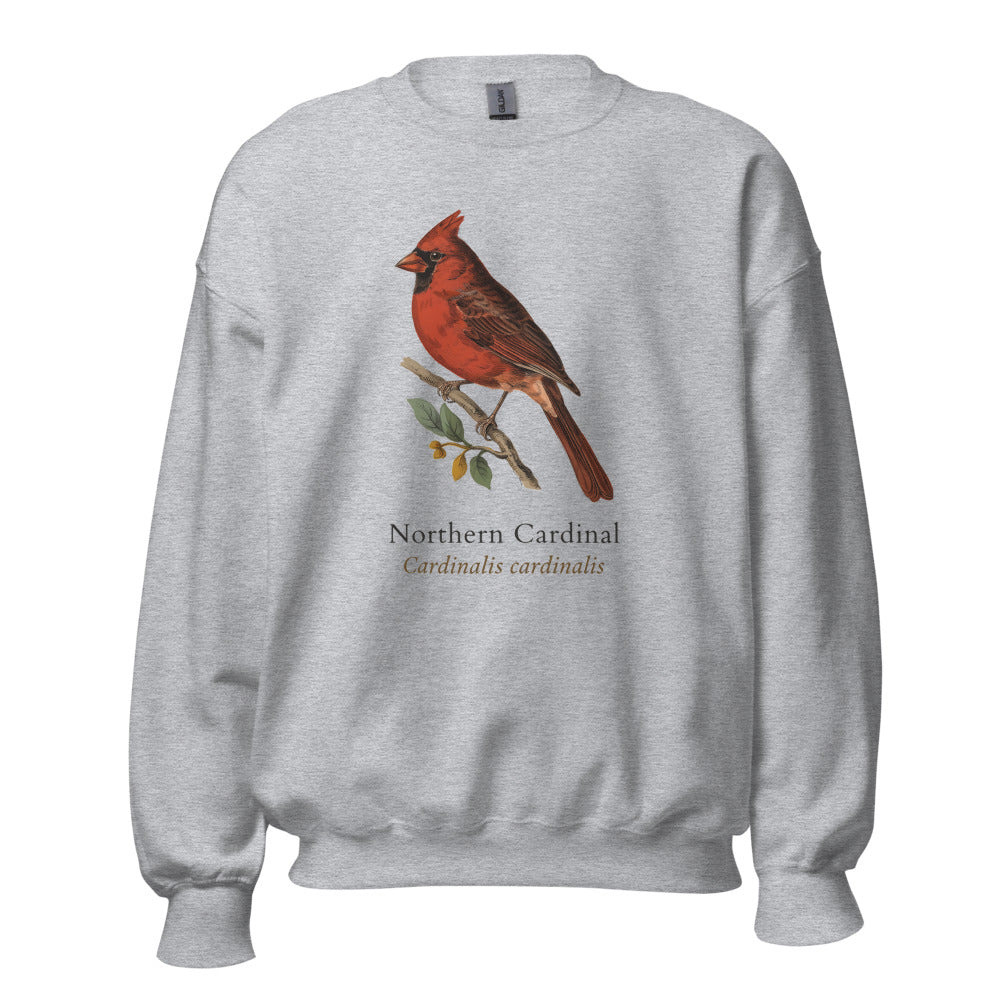 Northern Cardinal vintage field-guide crewneck sweatshirt — Sport Grey, front